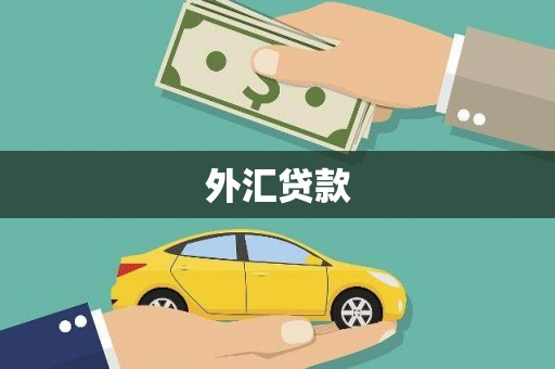墨玉外汇贷款