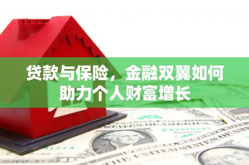 墨玉贷款与保险，金融双翼如何助力个人财富增长