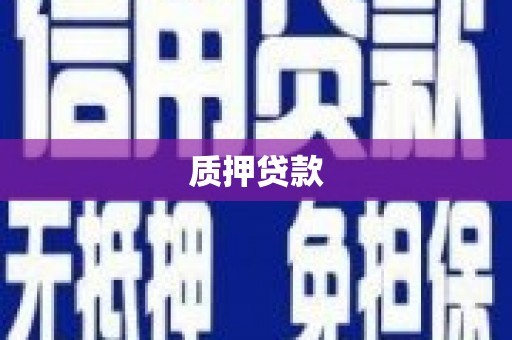 墨玉质押贷款
