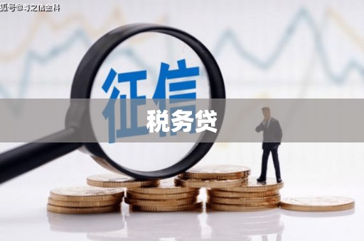 墨玉税务贷