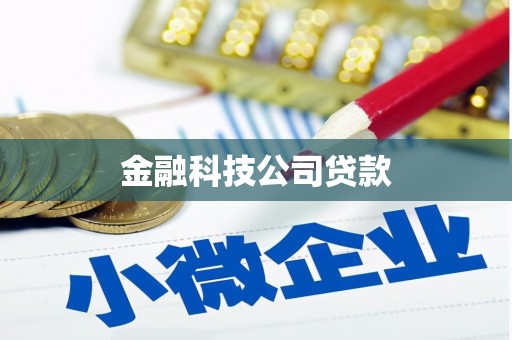 墨玉金融科技公司贷款