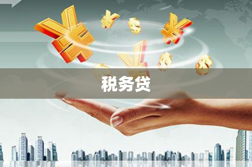 墨玉税务贷