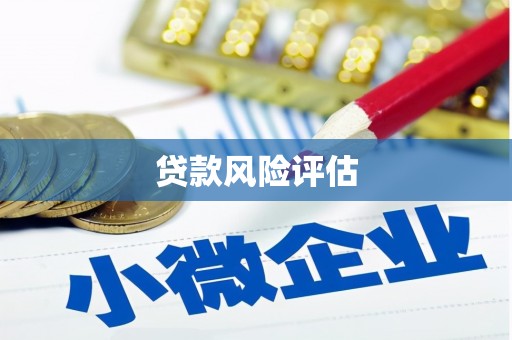 墨玉贷款风险评估