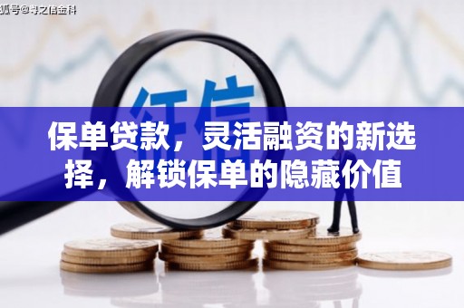 墨玉保单贷款，灵活融资的新选择，解锁保单的隐藏价值