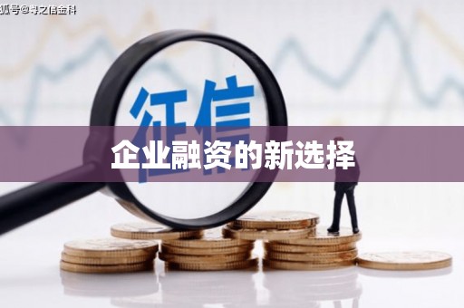 墨玉企业融资的新选择