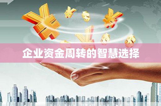 墨玉企业资金周转的智慧选择