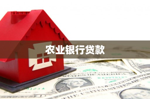 墨玉农业银行贷款