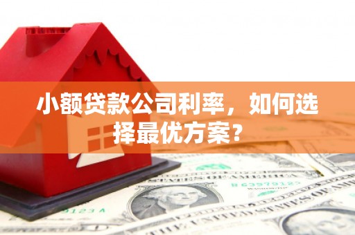 墨玉小额贷款公司利率，如何选择最优方案？