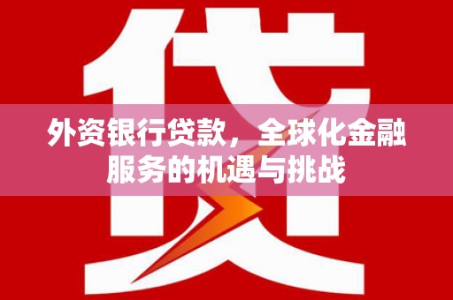 墨玉外资银行贷款，全球化金融服务的机遇与挑战