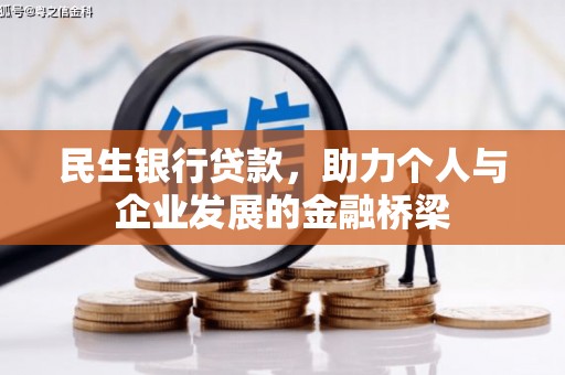 墨玉民生银行贷款，助力个人与企业发展的金融桥梁