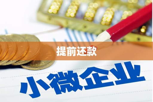 墨玉提前还款