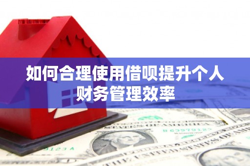 墨玉如何合理使用借呗提升个人财务管理效率