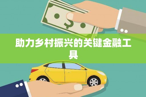 墨玉助力乡村振兴的关键金融工具
