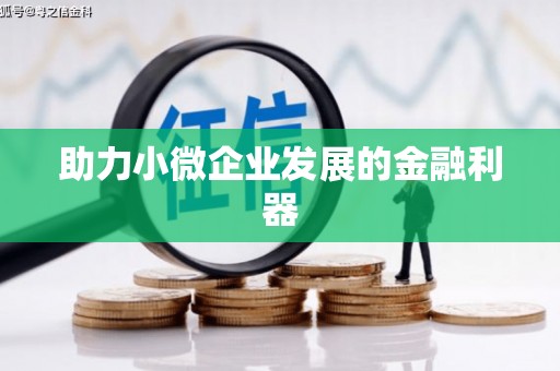 墨玉助力小微企业发展的金融利器