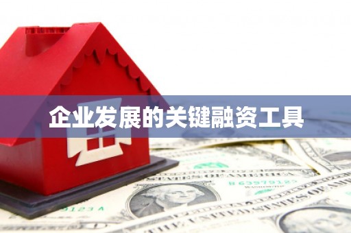 墨玉企业发展的关键融资工具
