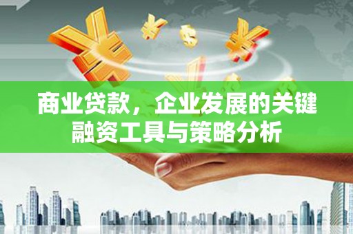 墨玉商业贷款，企业发展的关键融资工具与策略分析
