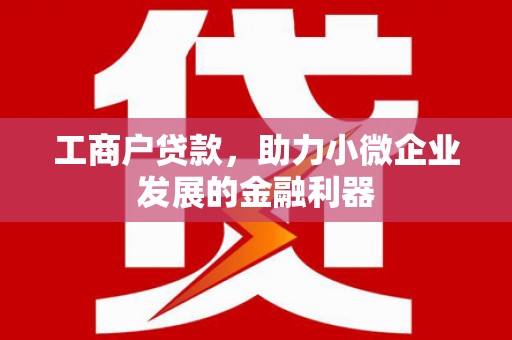 墨玉工商户贷款，助力小微企业发展的金融利器