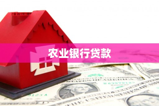墨玉农业银行贷款