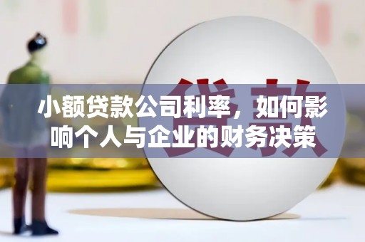 墨玉小额贷款公司利率，如何影响个人与企业的财务决策