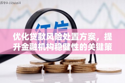 墨玉优化贷款风险处置方案，提升金融机构稳健性的关键策略
