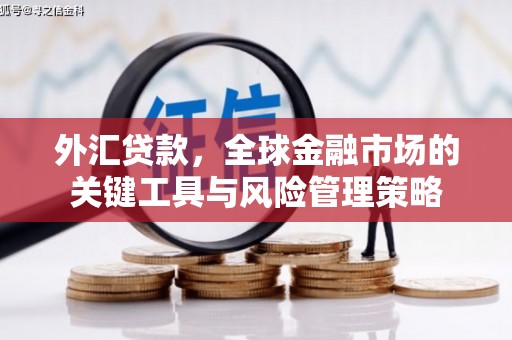 墨玉外汇贷款，全球金融市场的关键工具与风险管理策略