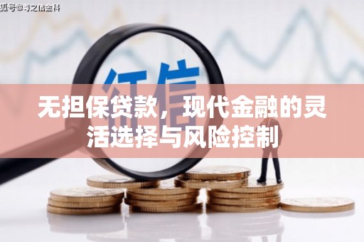 墨玉无担保贷款，现代金融的灵活选择与风险控制