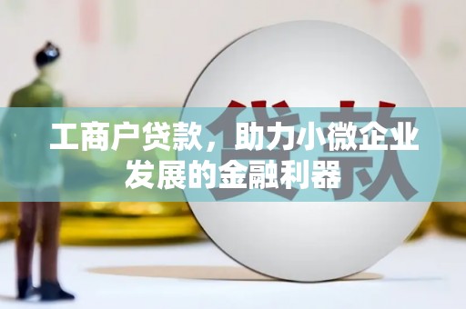 墨玉工商户贷款，助力小微企业发展的金融利器