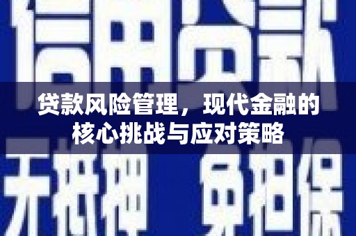 墨玉贷款风险管理，现代金融的核心挑战与应对策略