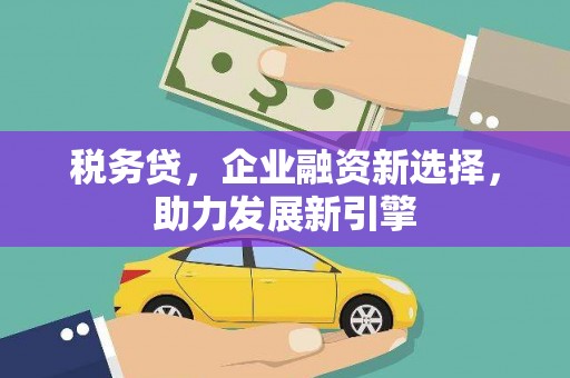 墨玉税务贷，企业融资新选择，助力发展新引擎