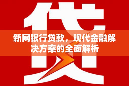 墨玉新网银行贷款，现代金融解决方案的全面解析
