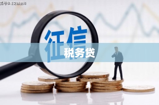 墨玉税务贷