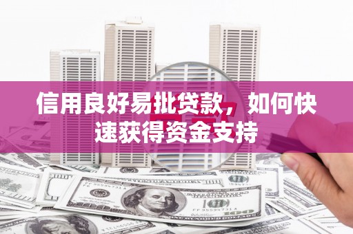 墨玉信用良好易批贷款，如何快速获得资金支持