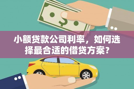 墨玉小额贷款公司利率，如何选择最合适的借贷方案？