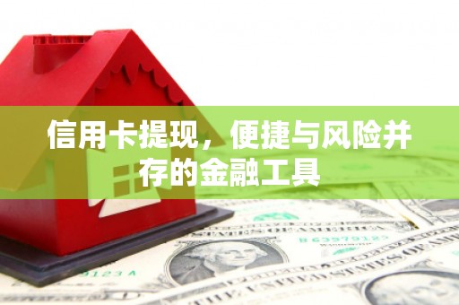 墨玉信用卡提现，便捷与风险并存的金融工具