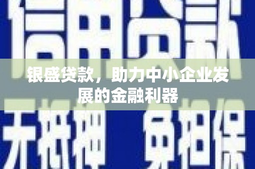 墨玉银盛贷款，助力中小企业发展的金融利器