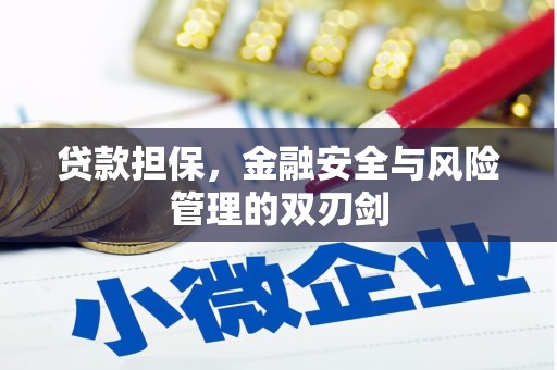 墨玉贷款担保，金融安全与风险管理的双刃剑