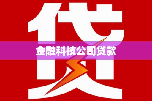 墨玉金融科技公司贷款