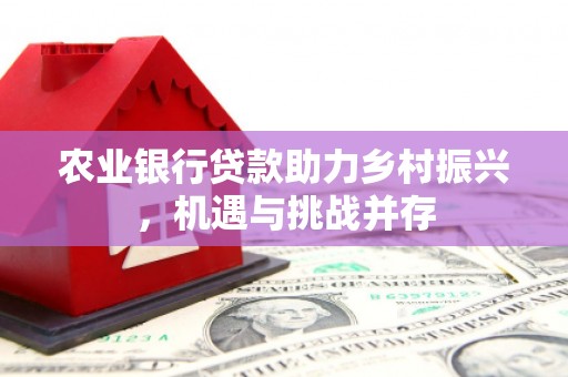 墨玉农业银行贷款助力乡村振兴，机遇与挑战并存