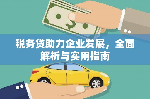 墨玉税务贷助力企业发展，全面解析与实用指南