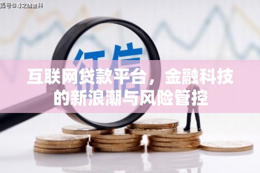 墨玉互联网贷款平台，金融科技的新浪潮与风险管控