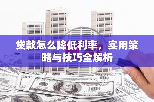 墨玉贷款怎么降低利率，实用策略与技巧全解析