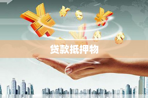 墨玉贷款抵押物