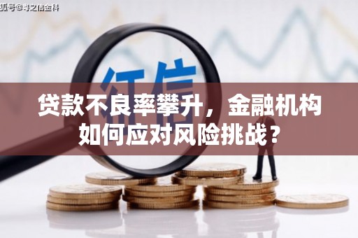 墨玉贷款不良率攀升，金融机构如何应对风险挑战？