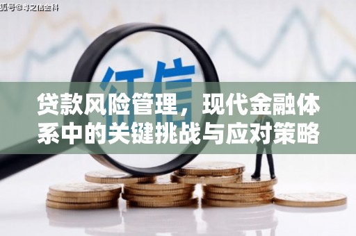 墨玉贷款风险管理，现代金融体系中的关键挑战与应对策略