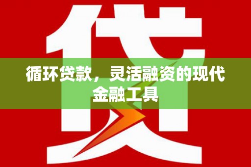 墨玉循环贷款，灵活融资的现代金融工具
