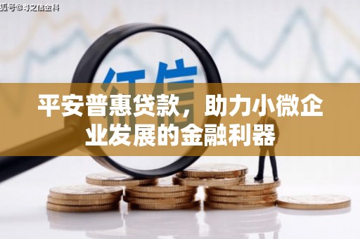 墨玉平安普惠贷款，助力小微企业发展的金融利器
