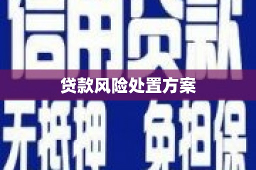墨玉贷款风险处置方案