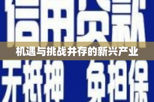 墨玉机遇与挑战并存的新兴产业