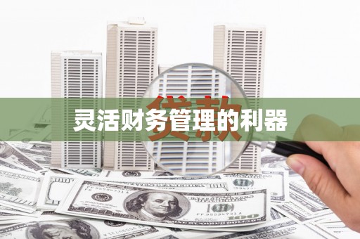 墨玉灵活财务管理的利器