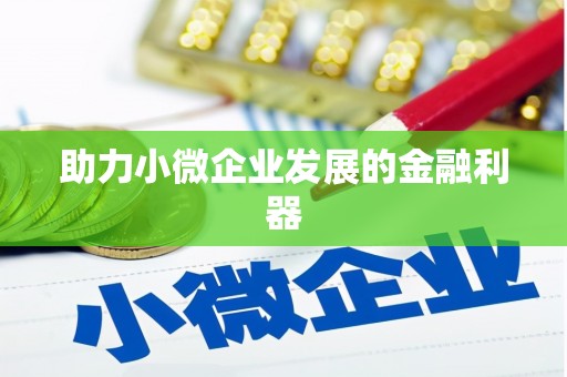 墨玉助力小微企业发展的金融利器